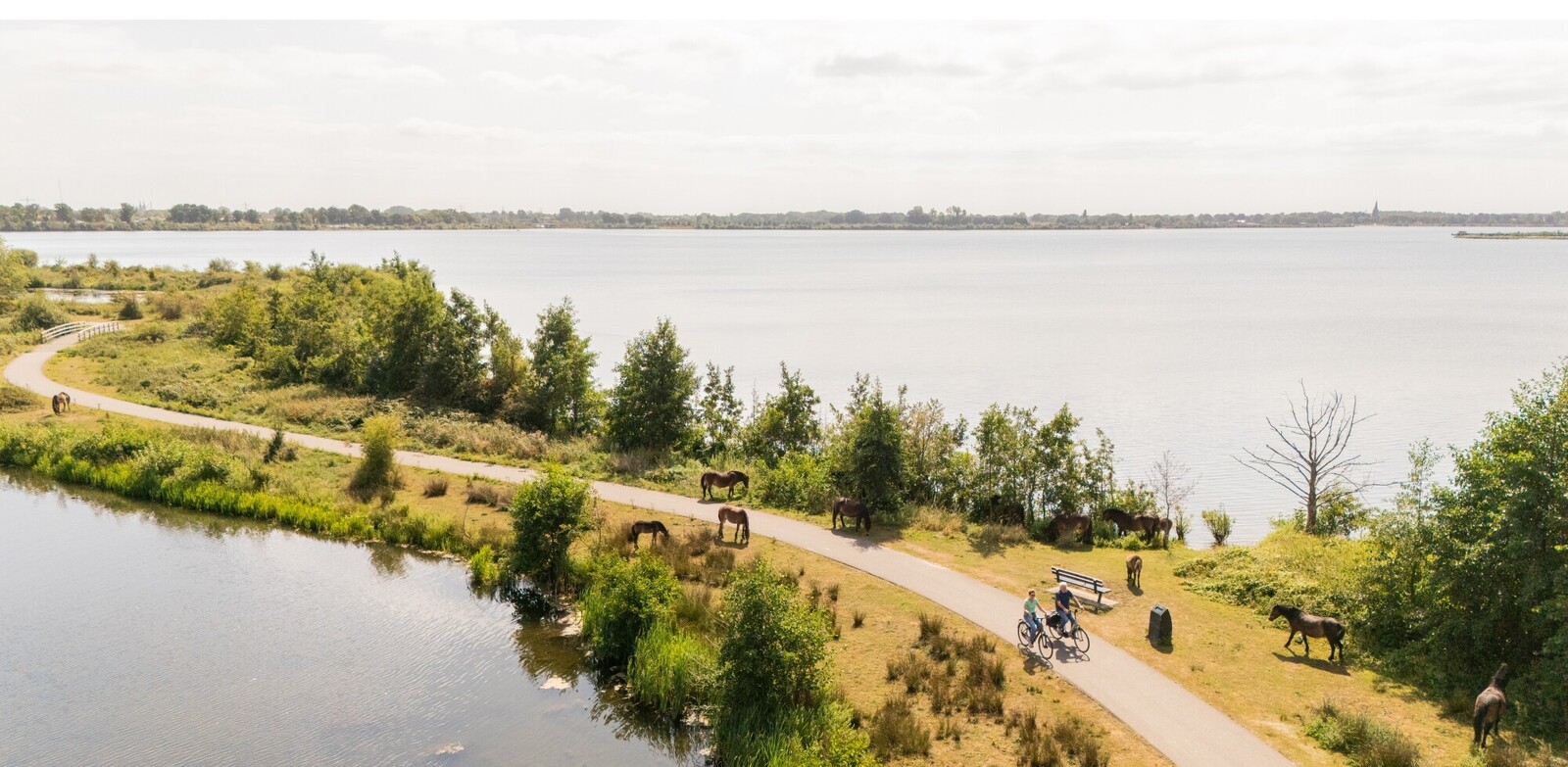 Leefomgeving