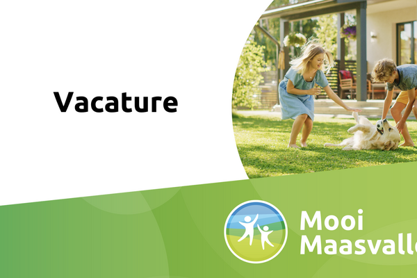 Vacature business controller